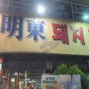 돼지한마리 이미지