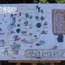 와썹멍 네이버블로그