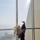 라메르 | 부산아난티코브조식 라메르 할인 꿀팁 메뉴 내돈내산 솔직후기