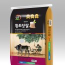 황토랑