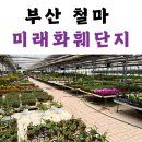 [부산 철마 미래화훼단지] 봄맞이 식물 쇼핑! 직접 다녀온 솔직 후기