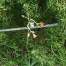 수목원피씨 이미지