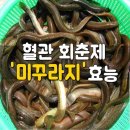 혈관 회춘제, 미꾸라지 효능.! 이미지