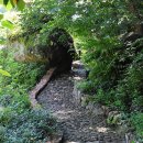 편백향기 이미지