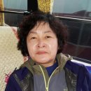 강해숙