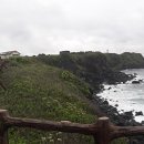 신양목장 이미지