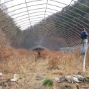 창성농장 이미지