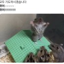 즐거운 상상 - R | 여러분 저 됐어요!!! 고명 됐어요!!!(260104 엑디즈 팬미팅 후기)