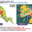 솔보프라자 이미지