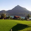 푸른잔디 이미지