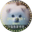 더힐동물병원 이미지
