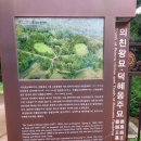 봉림서당 | 《60대 10년의 사색》6.22 (29)