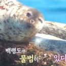 송은농장 이미지