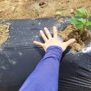 (주)오케이푸드 이미지