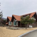 보성녹차리조트 이미지