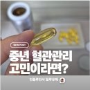 노르웨이 약국 | 부모님 오메가3 추천, 노르웨이 물개 오일 프리미엄 셀올예 후기