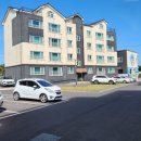 돈키호테공인중개사사무소 이미지