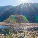 신풍구제 이미지