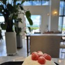 불암천 | 경기 구리 갈매동 수박빙수 맛집 수빙커피