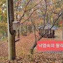 두암떡방앗간 이미지