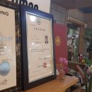 스탐헤어 Daum카페