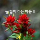 ♧ 혈관과 피를 튼튼하고 맑게 만드는 음식 이미지