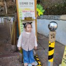 (주)브이시시 | 에버랜드 겨울 아이랑 놀이기구 4살 100cm미만 후기