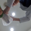 신길S동물의료센터 네이버블로그