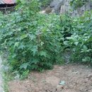 둔전마을회관 이미지