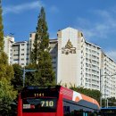 대운전기 이미지