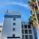 코쿤애월 | [제주🌴애월숙소 코쿤호텔] 제주숙소 애월호텔 코쿤호텔 이틀간의 숙박후기