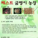 충우농장 이미지