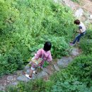 수채화반 이미지