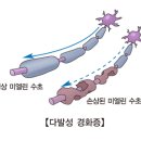 보리정 이미지