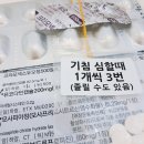 어질농장 | 2025.11.30. (일) - 새로운 내분비내과, 전원, 축농증, 2학기 기말, 크리스마스 파네토네, 하얀식빵, 꿈...