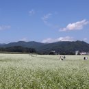 고부면사무소 이미지