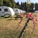 원앙캠핑장 이미지