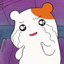 신아람펜싱클럽 이미지