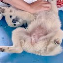 미노길 | 강릉여행 라임 비치 스파 펜션 4인가족 내돈내산 후기｜복층 가성비 사근진해변 경포대 근처
