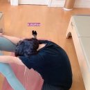 이루필라 이미지