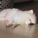 그루멍 프렌즈 이미지