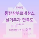 삼부르네상스공인중개사사무소 | 동탄삼부르네상스 실거주자 만족도, 가격현황