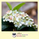 삼흥농장 이미지