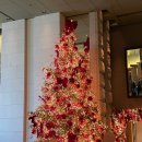 킹바디 짐 | 그랜드하얏트 서울 프리미엄 한강 전망 킹룸 호캉스 후기 (아이스링크, 델리 등)