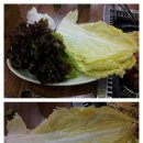 지산흑돈 이미지