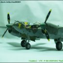 [Aero] 1/72 P-38 Lightning &#34;Pacific Theater&#34; 이미지