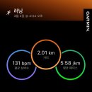 아이런 | [후기] 아이런 야외 수업