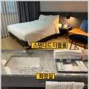 브라운도트 경주점 이미지