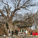 미암1리 이미지