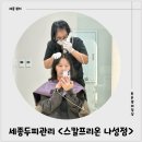 세종온정성한의원 | 세종탈모관리 <스칼프리온 나성점> 두피케어 후기